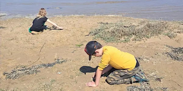 Home Education: The Changing Landscape at Rye Harbour