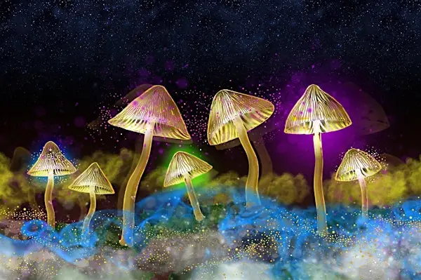 The Science of Psychedelics with Dr Sam Gandy