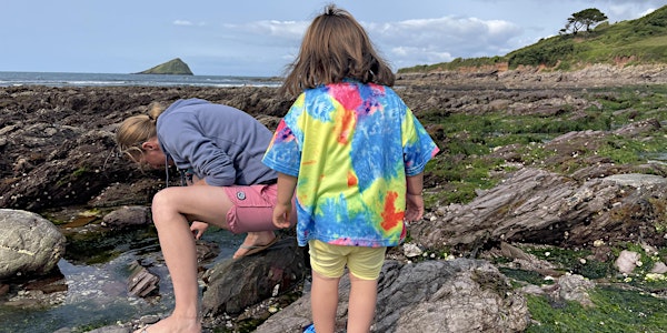 Tots & Toddlers Rockpool Safari